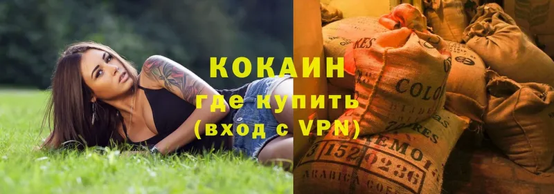 наркотики  Камышин  ссылка на мегу tor  Кокаин VHQ 