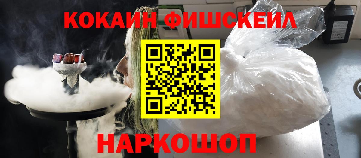 Cocaine Fish Scale  COCAIN Эквадор  Вход с VPN  Камышин 