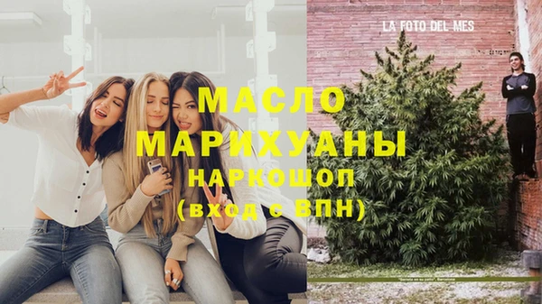 дмт Надым