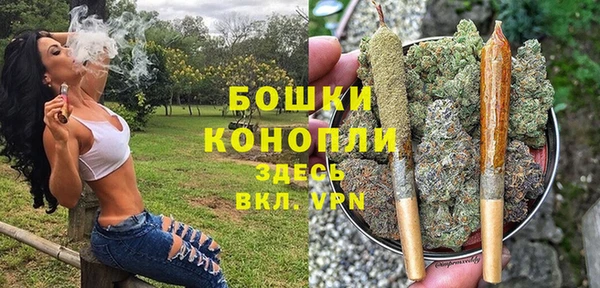 дмт Надым