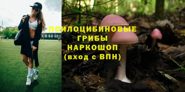гидра Наволоки