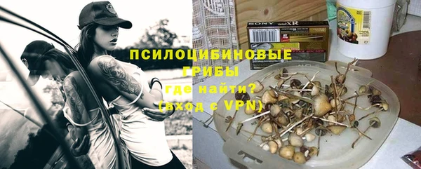 дмт Надым