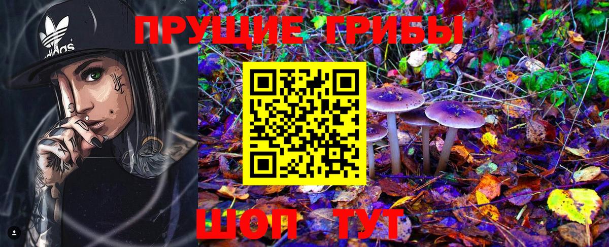 Галлюциногенные грибы мицелий Камышин